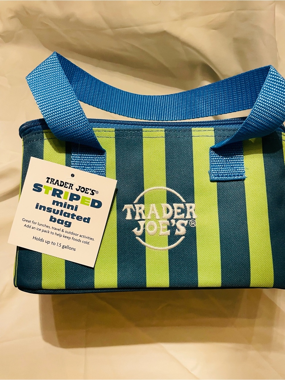 Trader Joe's Striped Insulated Mini Bag - Blue & Lime
